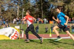 03.11.2024-Atletica_La_Fornace-16